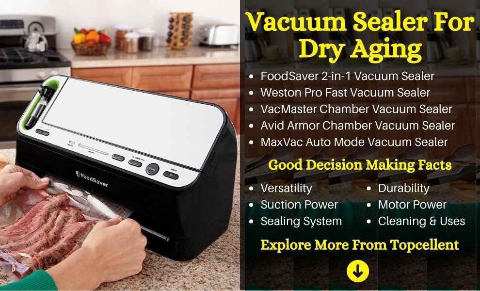 best vacuum sealer for dry aging