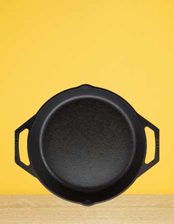 Lodge Seasoned Cast Iron Skillet