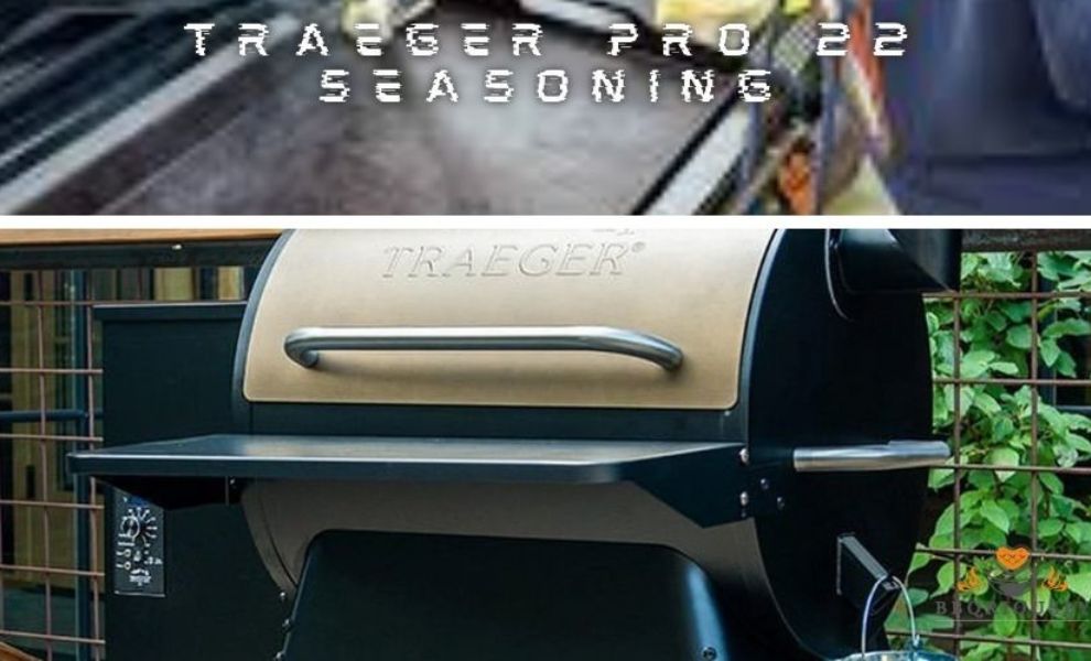 traeger pro 22 seasoning