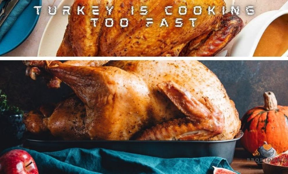 Turkey Is Cooking Too Fast